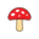 Flowersandshrooms